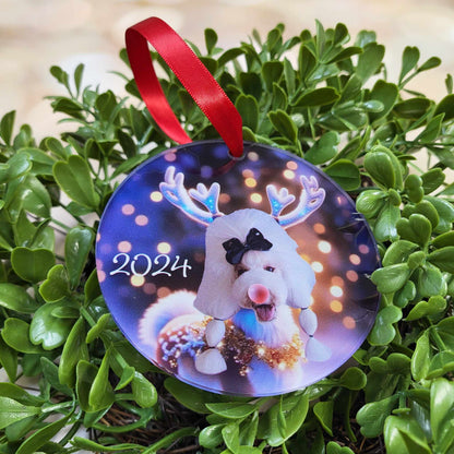 Personalized Holiday Ornament